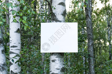 在公园的树上登广告做广告的地方图片