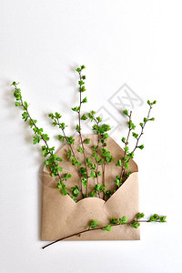 含有信封和绿色twigson白色背景的春季成分文字用木字母图片