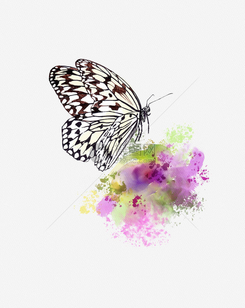 花丛笔和水彩画上的蝴蝶纸基特IdeaLeu图片