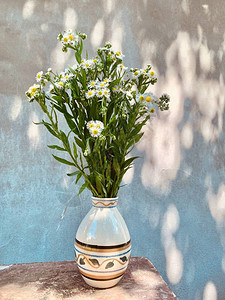 墙边花瓶上的一束美丽的菊花甘菊花图片