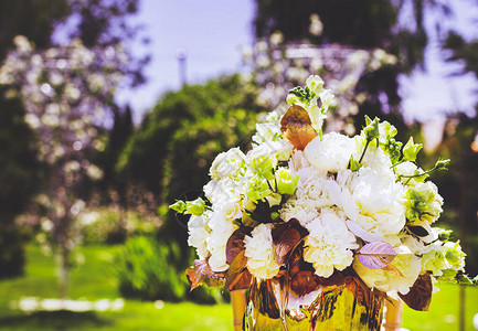 婚礼花艺新娘花束花园里美丽的白花束图片