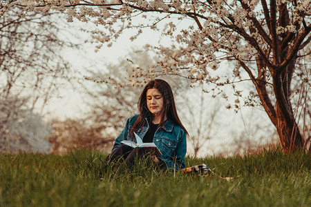 女孩坐在树下的公园里看书图片