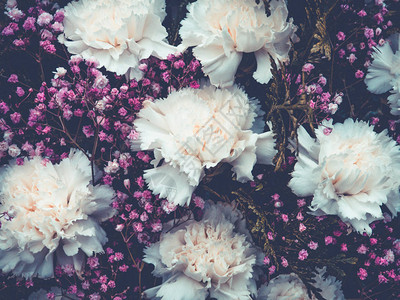 鲜花背景与粉红色和白色的花朵图片