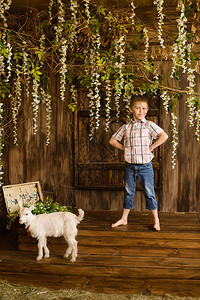 身穿牛仔裤和格子衬衫的男孩站在木门廊上背景图片