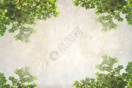 绿叶水泥墙纹理背景图片