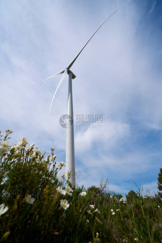 在自然环境中发电的生态风车与花在田野中的美丽形象图片