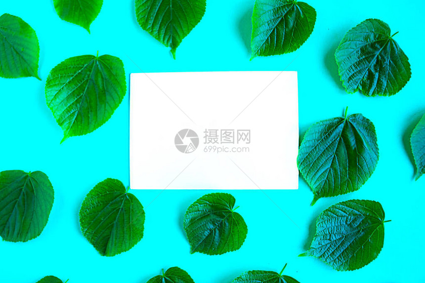 明亮的新鲜绿色叶子图案和明亮的蓝色背景上的白色样机空白最小的概念夏季时间概念图片