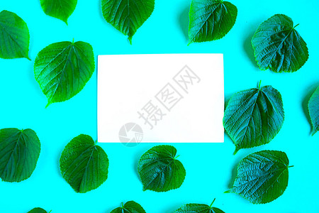 明亮的新鲜绿色叶子图案和明亮的蓝色背景上的白色样机空白最小的概念夏季时间概念背景图片