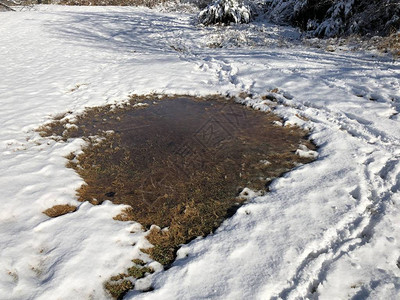 地上一小块水周围的清雪下图片