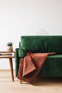 绿色沙发在木制咖啡桌旁带植物图片