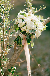 白玫瑰百合花蜂蜜花刺花和橄榄树上的白丝带的彩虹花束图片