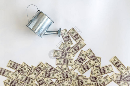 浇水从喷壶钞票美元在白色背景上概念投资创业创图片