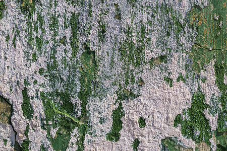 旧的陈旧墙壁有层绿色涂料图片