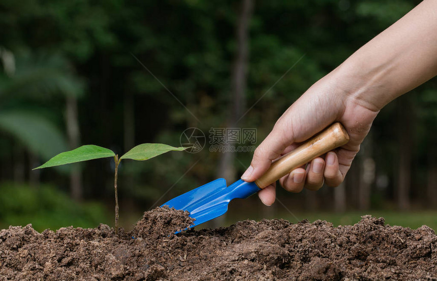 用园艺工具手工植树图片