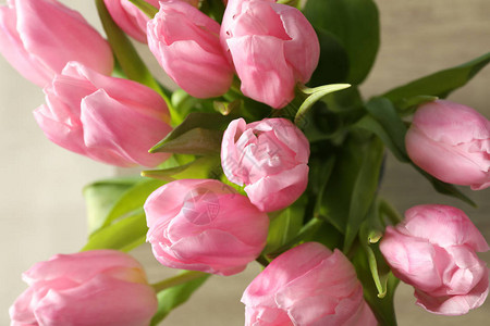 美丽的粉红色郁金香和绿图片