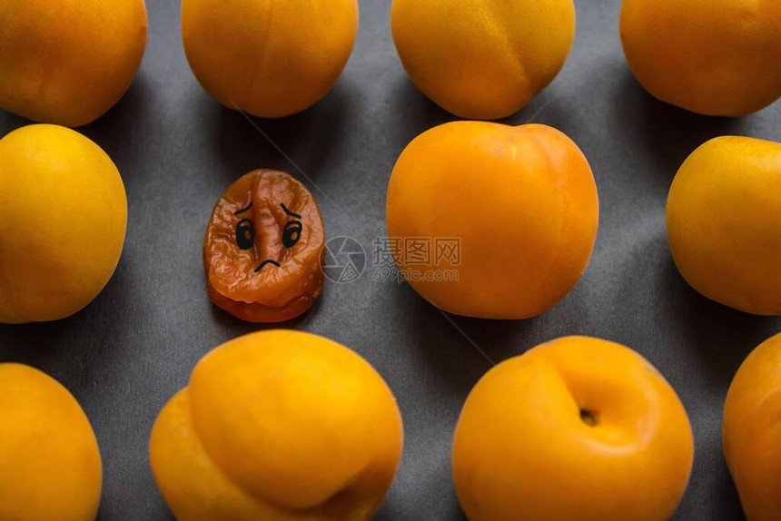 干燥干瘪的杏中间新鲜光滑多汁图片