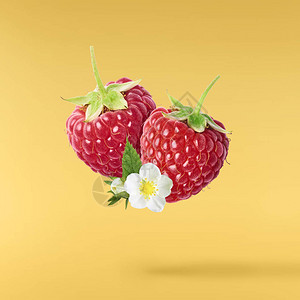 新鲜成熟的草莓绿叶和鲜花在空气中飞翔图片