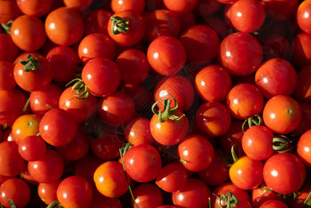 健康的食品红西柿和绿图片