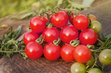 新鲜的樱桃番茄新鲜成熟的有机西红柿葡萄藤图片