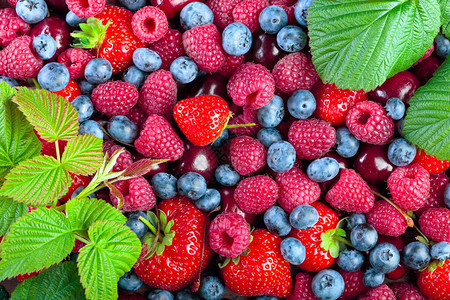 草莓蓝莓草莓和甜樱桃五花八图片