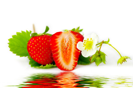 白色背景上的草莓和鲜花专注于草莓花草莓与图片