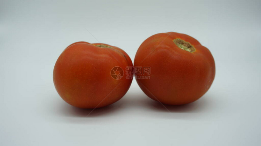 白色背景上的红番茄图片