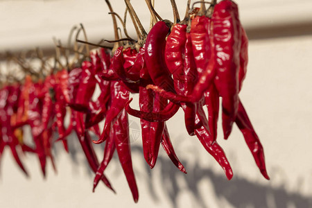 日光红辣椒在街上的一根绳子上晾干有颜色背景图片