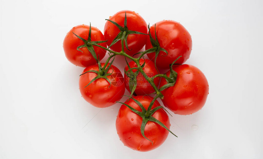 番茄分枝西红柿在白色图片
