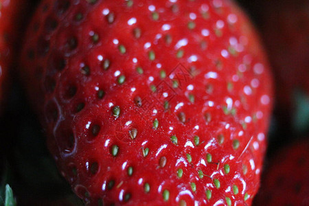 红草莓果绿色果健康营图片