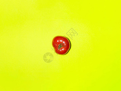淡绿色背景的新鲜番茄多彩图片