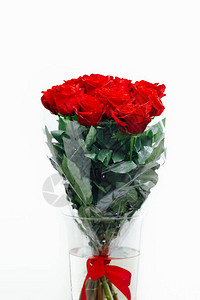 白色背景的花瓶中的红玫瑰花图片