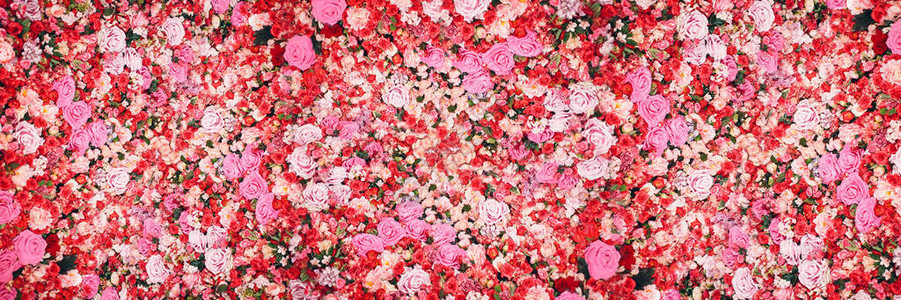 一束玫瑰花网站的宽屏横幅图片