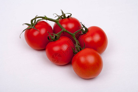藤蔓上的西红柿图片