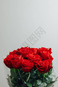 红玫瑰花束特写视图图片