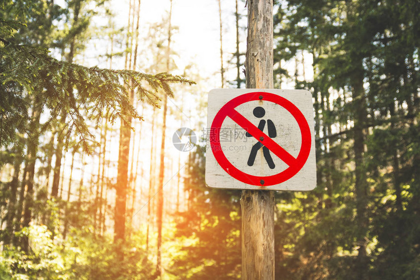禁止行人移动的圆形路标不要在小径上行走公园里的一个警告标志图片