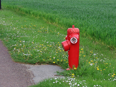 街道旁的亮红色消防栓背景图片