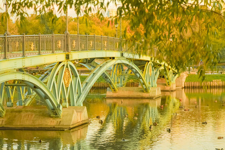 城市公园的美丽绿色桥梁图片