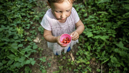 一个穿粉红色裙子的小孩女站在森林足迹上拿着野草莓的杯图片