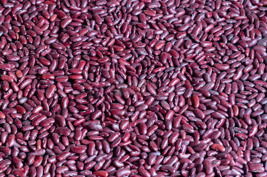 大的黑豆有丰富的蛋白质图片