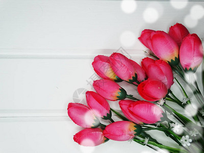 郁金香鲜花灌木花的春天图片