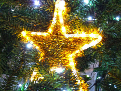 用金色装饰街道圣诞树背景图片