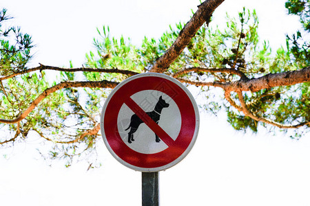 禁止进入海滨岸的狗标志图片