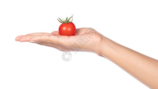 手心里的西红柿图片