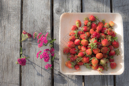 木盘子里的新鲜红草莓草莓是维生素C的来源这是一种浆果一种天然壮阳药图片