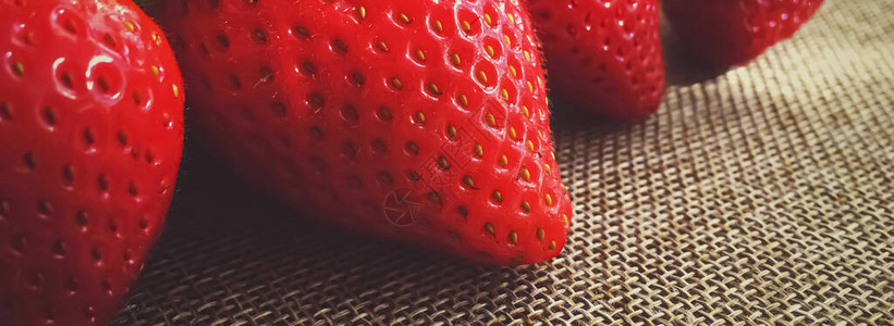 乡村亚麻背景水果种植和农业中的有机草莓图片