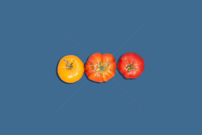 深蓝色背景上多色番茄顶部视图图片