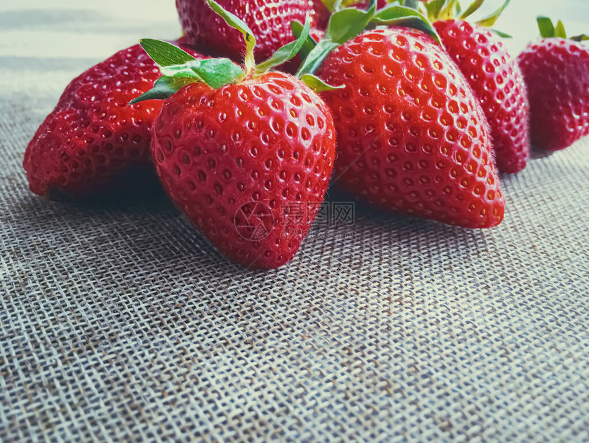 亚麻背景水果种植和农业中的有机草莓图片