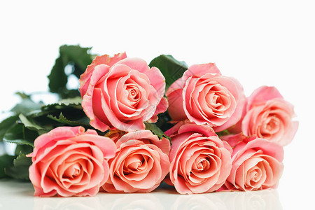 一束粉红玫瑰白色背景图片