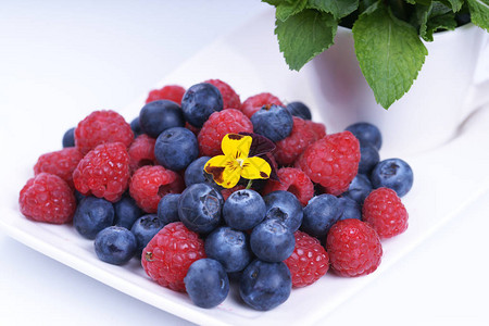 白色背景上的新鲜覆盆子蓝莓和薄荷叶图片