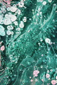 Petri艺术一种现代绘画技术图片